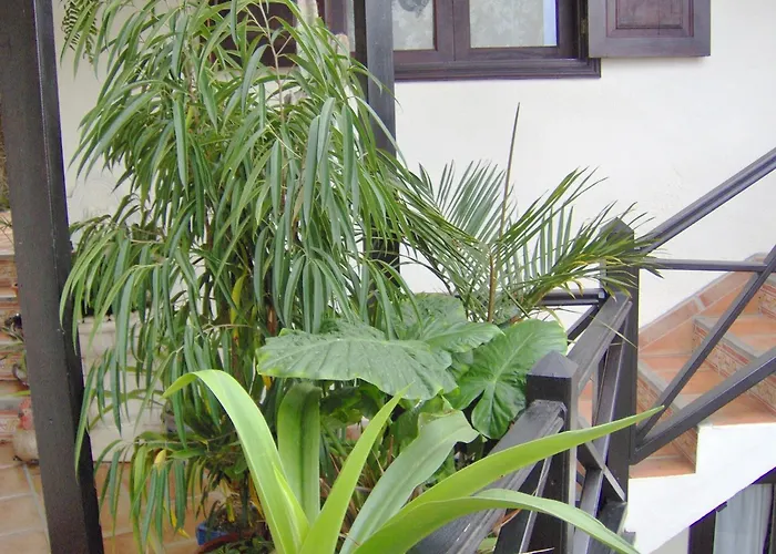 Rustikale Mit Balkon Und Meerblick Daire