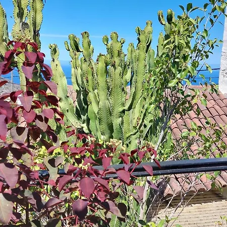 Rustikale Mit Balkon Und Meerblick