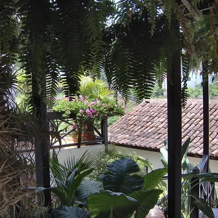 Rustikale Mit Balkon Und Meerblick 公寓 伊科德·德·洛斯·维诺斯