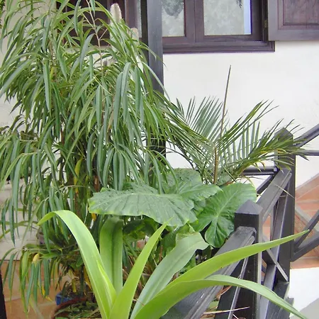 Rustikale Mit Balkon Und Meerblick Appartement