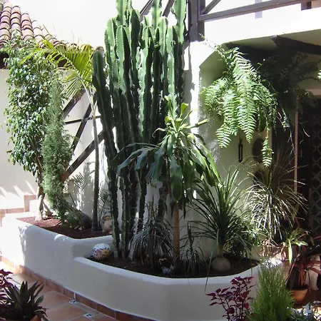 Rustikale Mit Balkon Und Meerblick Appartement