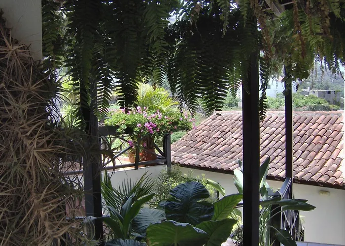 Rustikale Mit Balkon Und Meerblick 公寓 伊科德·德·洛斯·维诺斯